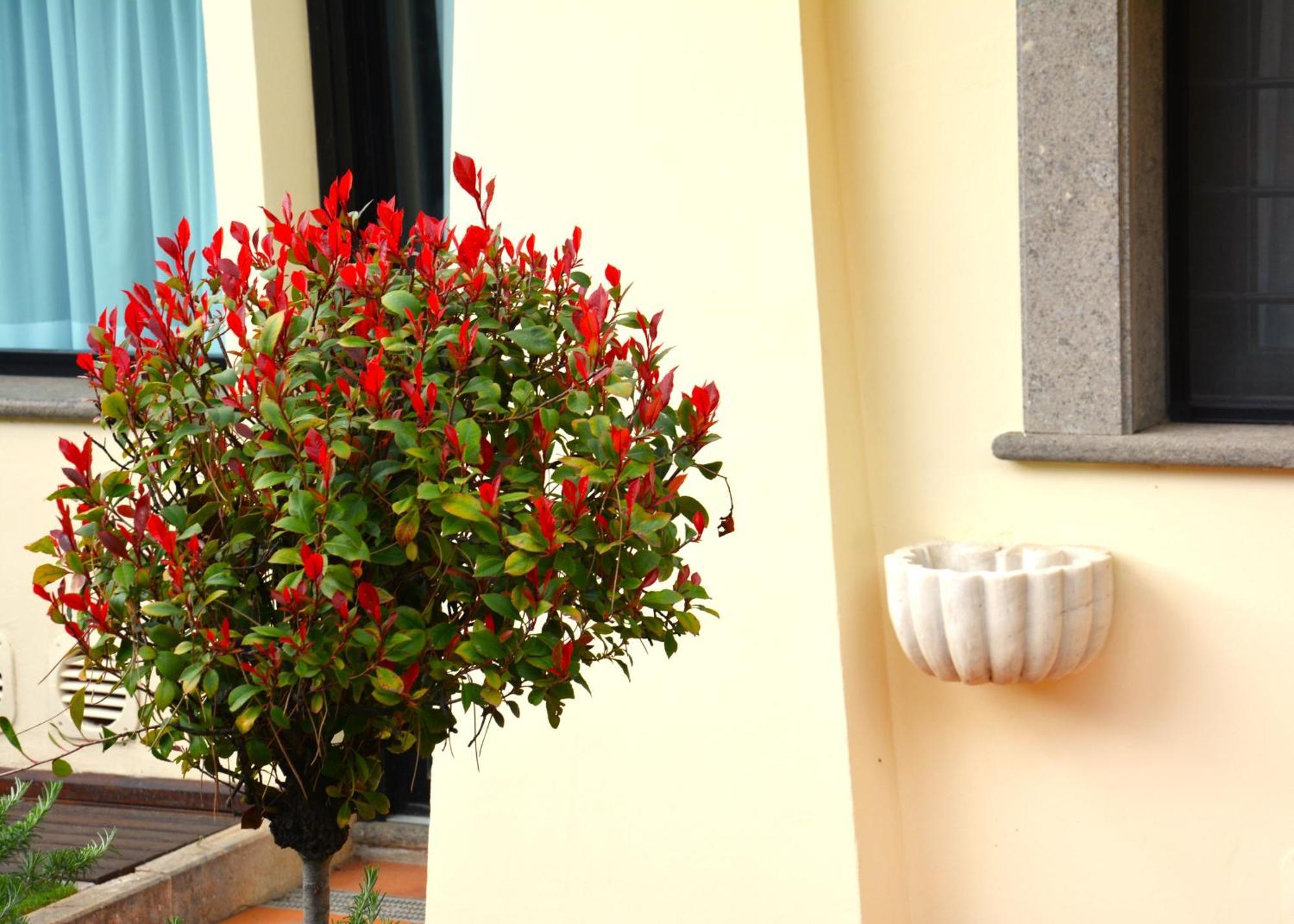 Gemelli Hotel Rome Extérieur photo